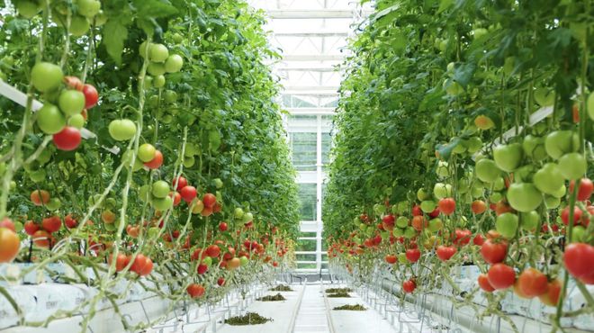 10家!浙江首批&ldquo;未來(lái)農(nóng)場(chǎng)&rdquo;名單公布,有你去過(guò)的嗎?